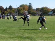 OTFL Gallery Image